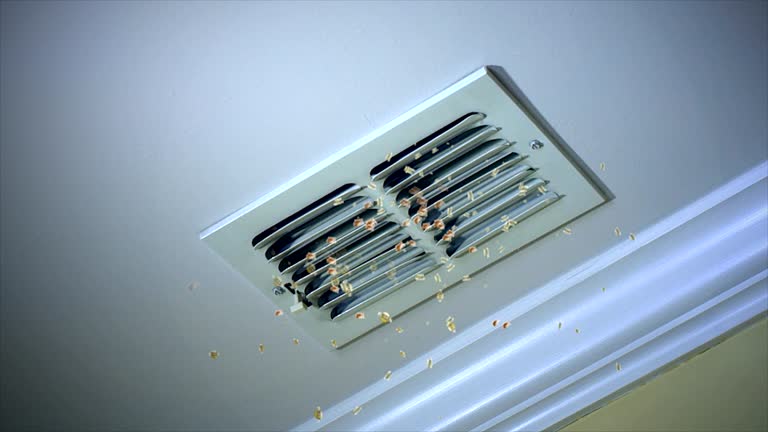 Best Best Air Duct Cleaning Company  in Jacksonville, TX